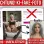 Achtung vor Ki-Bildern & Low-Budget-Fallen beim Sexpuppenkauf