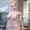 Was Sind Furry Sex Dolls?