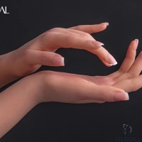 Harte Hand 