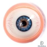 Blau - mit vaskulär  + 40.00€ 