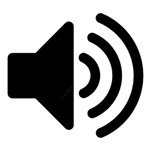 Stimmfunktion  + 99,00€ 
