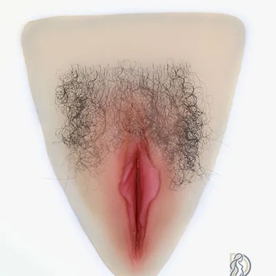 #2 