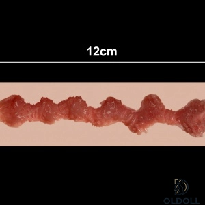12cm 