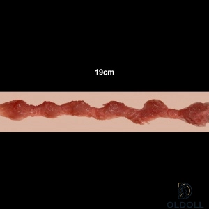 19cm 