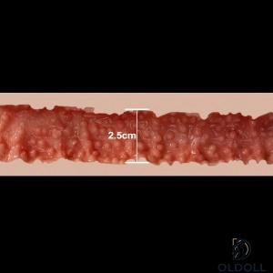 2.5cm 
