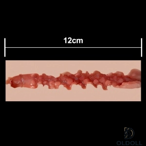 12cm 
